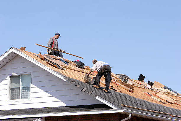 Best Rubber Roofing (EPDM, TPO)  in Minneota, MN