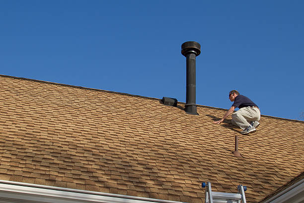Best Metal Roofing Installation  in Minneota, MN