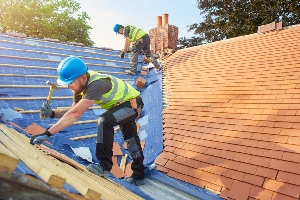 Best Roof Installation  in Minneota, MN